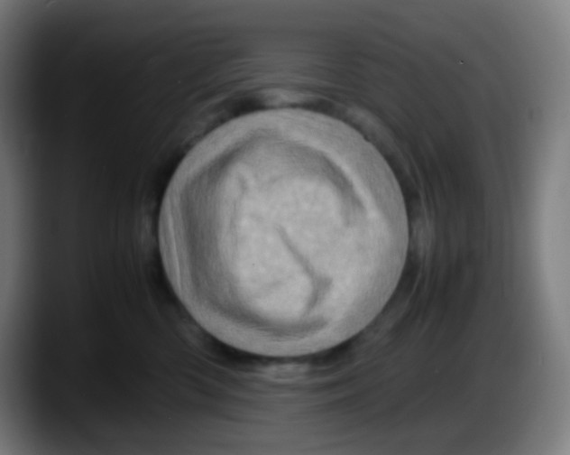 X0000087620426200705252006