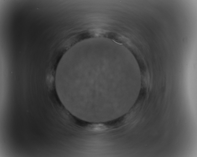 X0000087620427200705252006