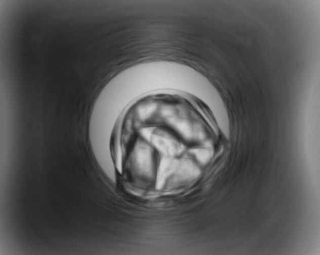 X0000087620428200705252006