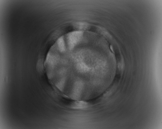 X0000087620429200705252006