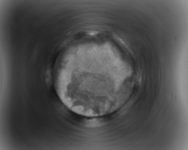 X0000087620430200705252006