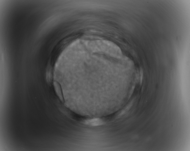 X0000087620431200705252006