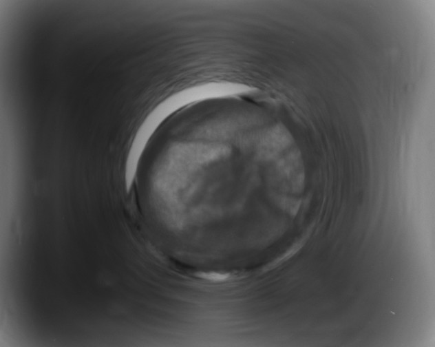 X0000087620432200705252006
