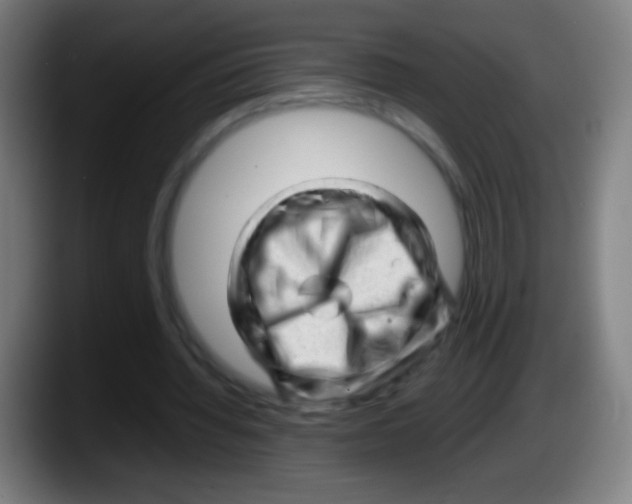 X0000087620436200705252005