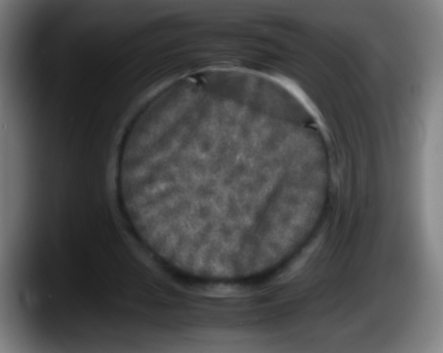 X0000087620437200705252005