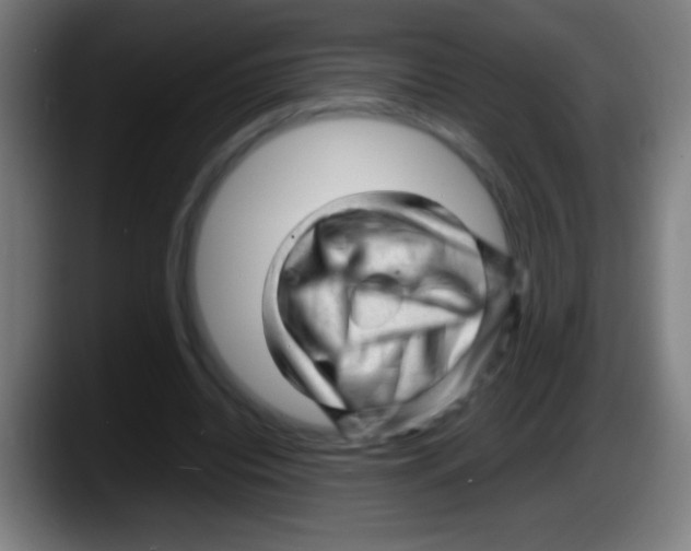 X0000087620440200705252006