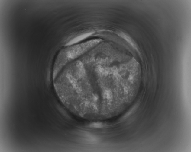 X0000087620441200705252006