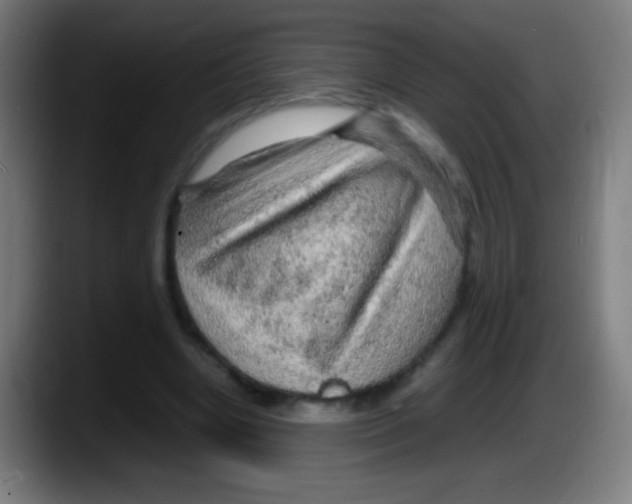 X0000087620442200705252006