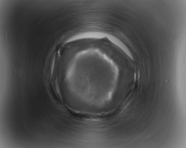 X0000087620444200705252006