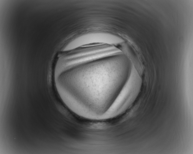 X0000087620446200705252006