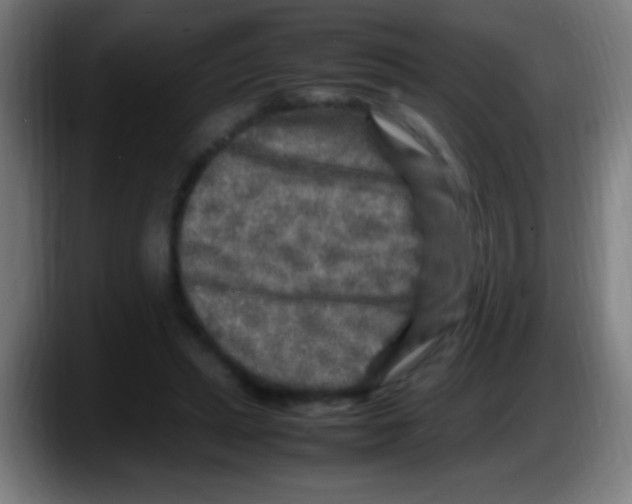 X0000087620447200705252006