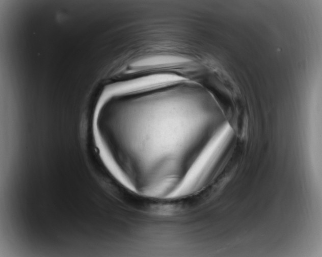 X0000087620448200705252006