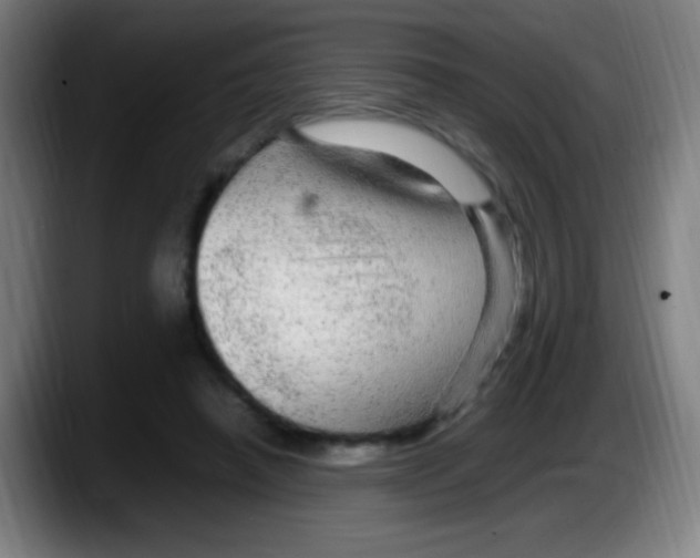 X0000087620450200705252006
