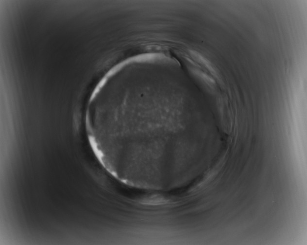 X0000087620451200705252006