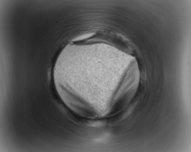 X0000087620454200705252006