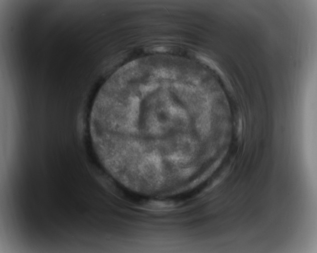 X0000087620455200705252006