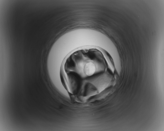 X0000087620456200705252006