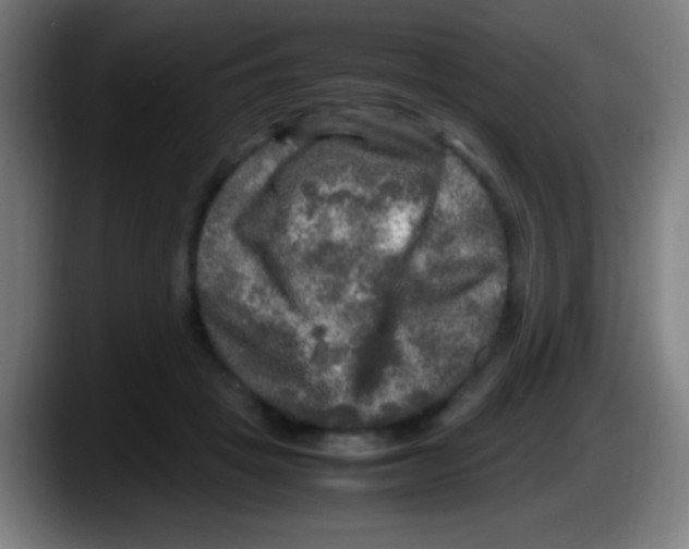 X0000087620457200705252006