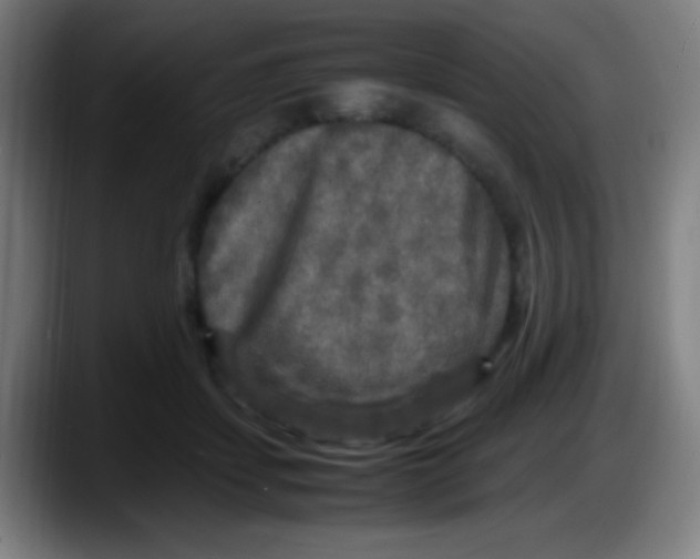 X0000087620459200705252006