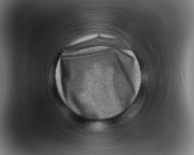 X0000087620460200705252006