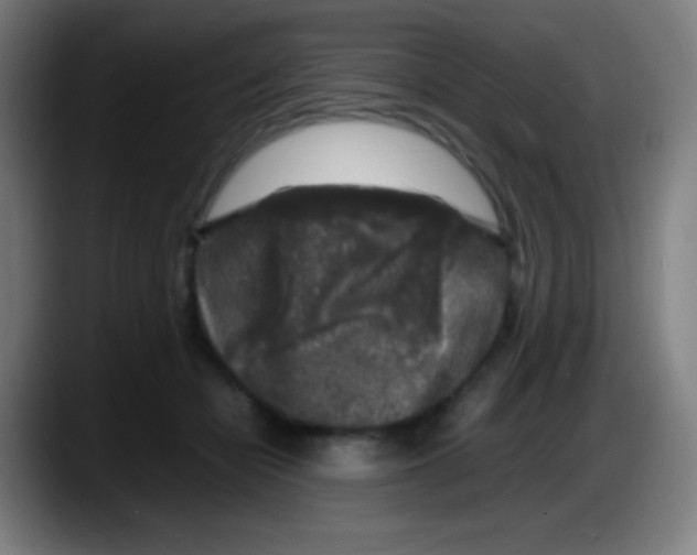 X0000087620462200705252006