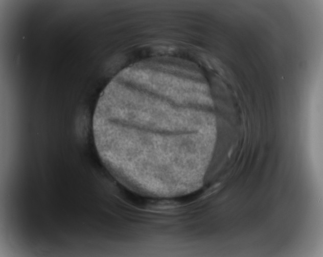 X0000087620463200705252006