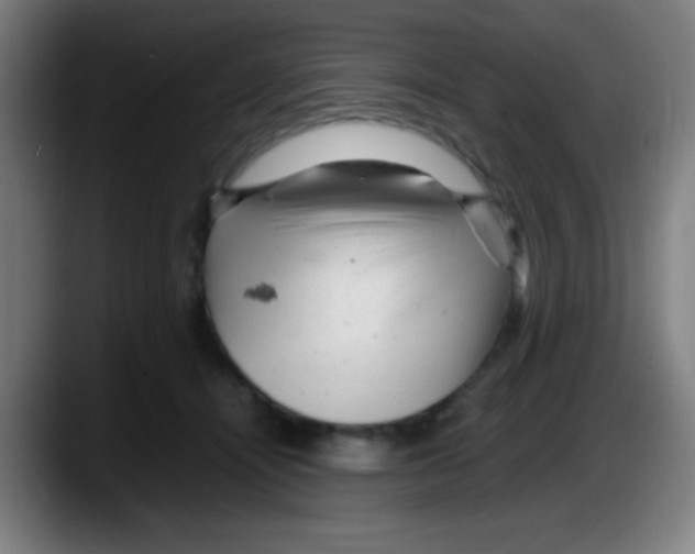 X0000087620464200705252006