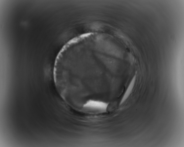 X0000087620465200705252006