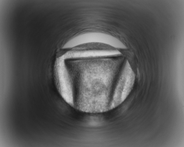X0000087620466200705252006