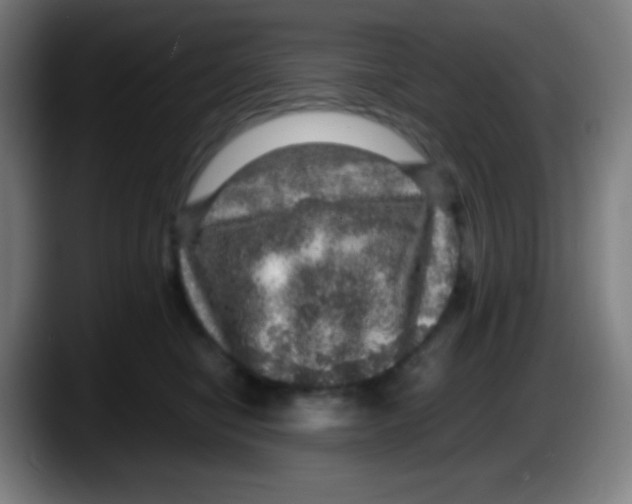 X0000087620470200705252006