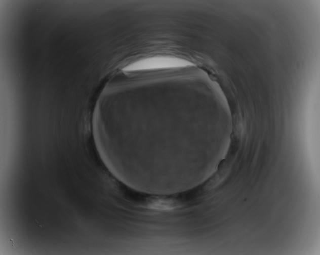 X0000087620471200705252006