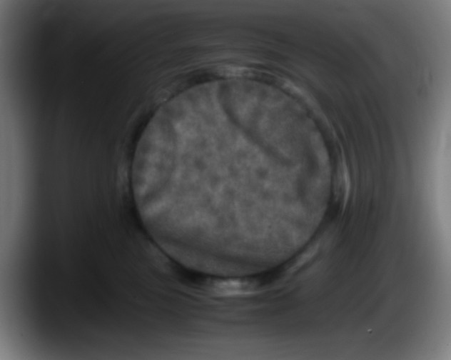 X0000087620473200705252006