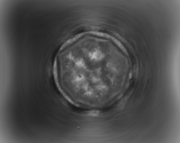 X0000087620474200705252006