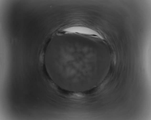 X0000087620475200705252006