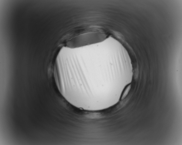 X0000087620476200705252006