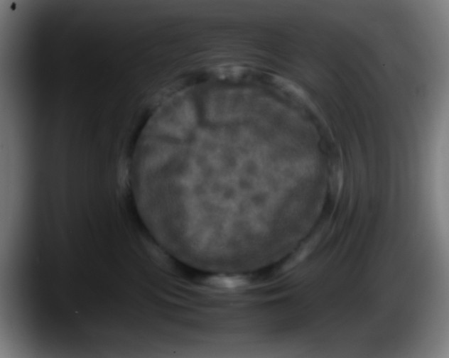 X0000087620477200705252006