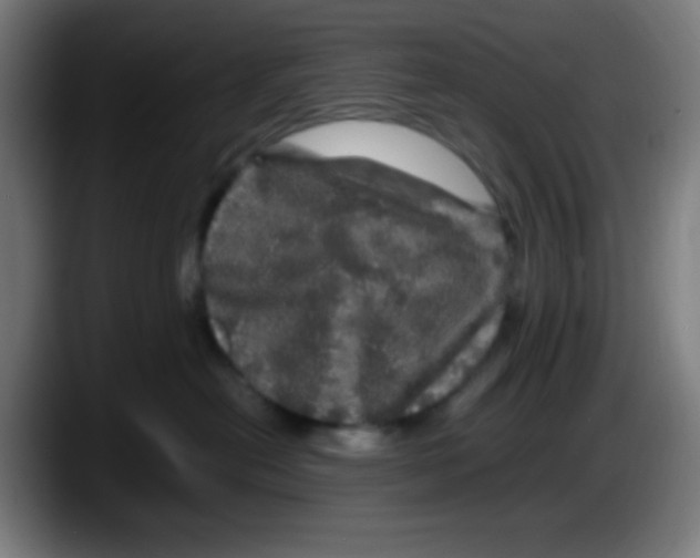 X0000087620478200705252006