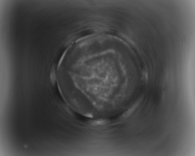 X0000087620479200705252006