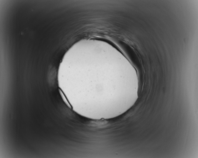 X0000087620480200705252006