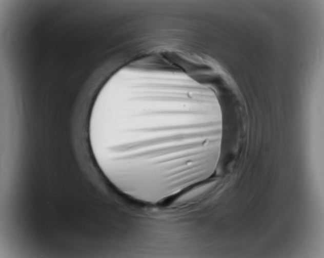 X0000087620481200705252005