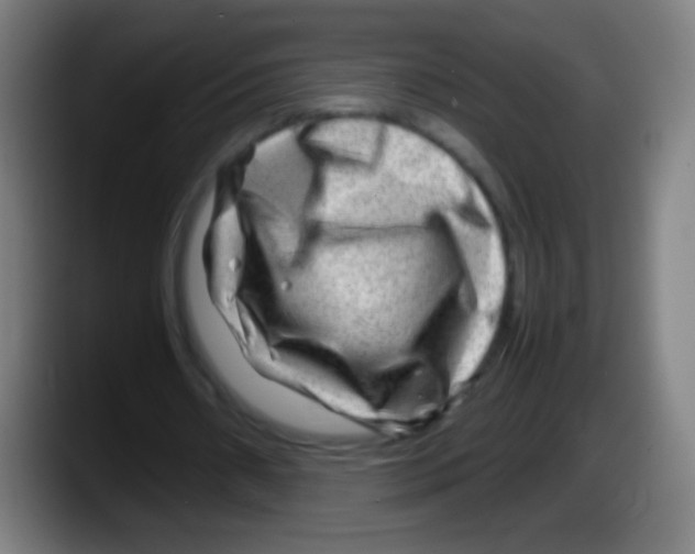 X0000087620482200705252005