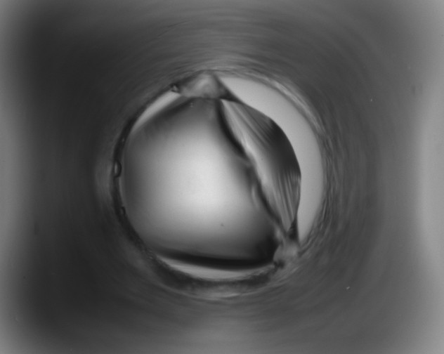 X0000087620485200705252005