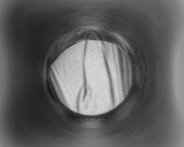 X0000087620486200705252005