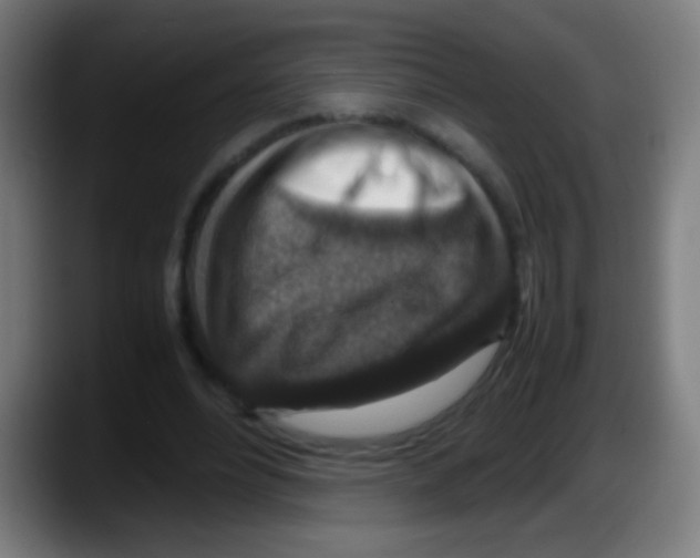 X0000087620488200705252005