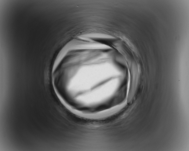 X0000087620489200705252005