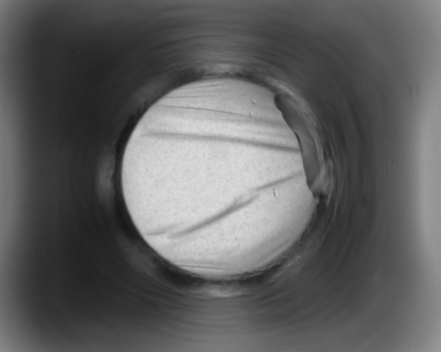 X0000087620490200705252005