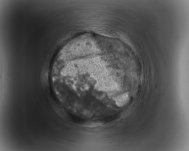 X0000087620491200705252005