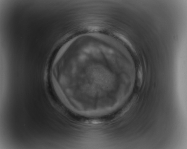 X0000087620492200705252005