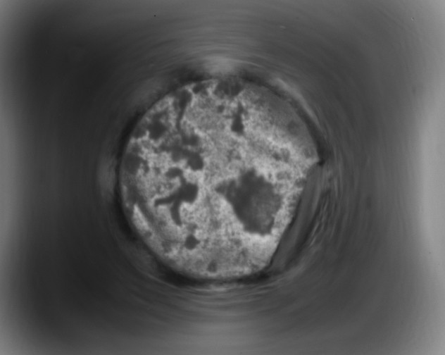 X0000087620495200705252005