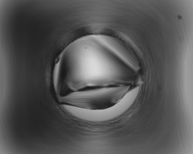 X0000087620497200705252005